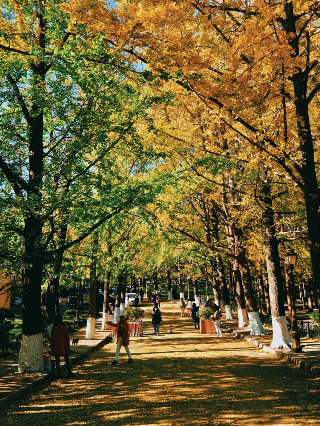诸城旅行社跟团青岛崂山,崂山旅行社一日游价格