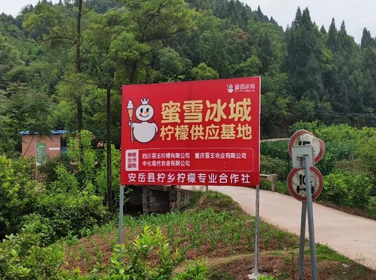 蜜雪冰城加盟店盈利模式,标准型加盟店蜜雪冰城运营模式