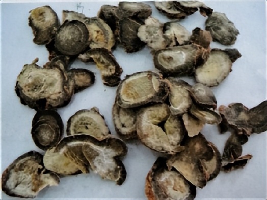 中医三七药材标准,三七真假对比图片三七主治