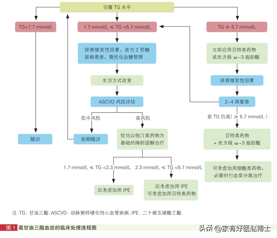 2024最新血脂管理共识,甘油三酯5.29怎么降脂