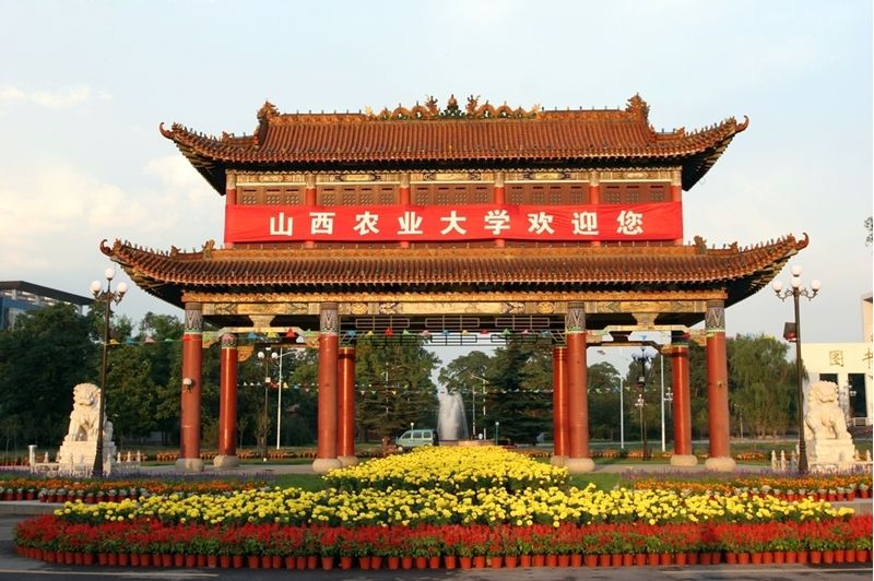 曲阜师大和山西农大：位于县城的“实力派”大学！你了解吗？