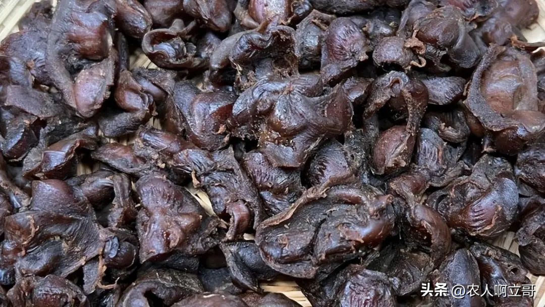 晒干后囤起来，随吃随取，营养解馋特省事！建议中老年人要多吃