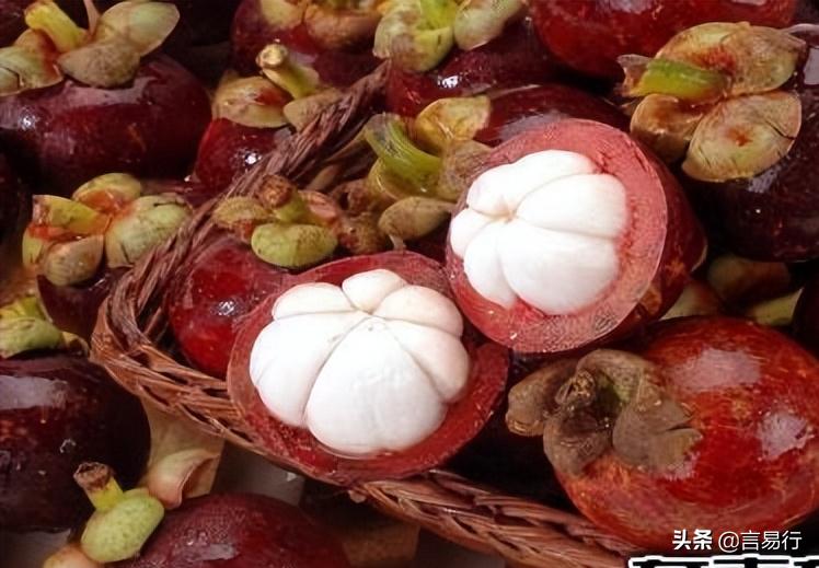 山竹水果功效和作用是什么呢,山竹水果功效与作用是什么