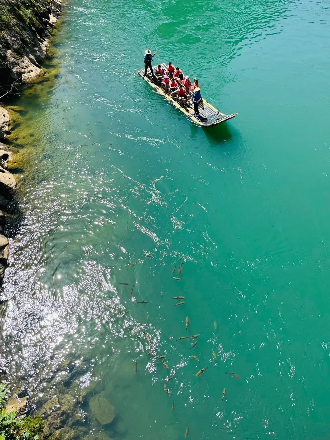 如何了解武夷山茶,探寻武夷