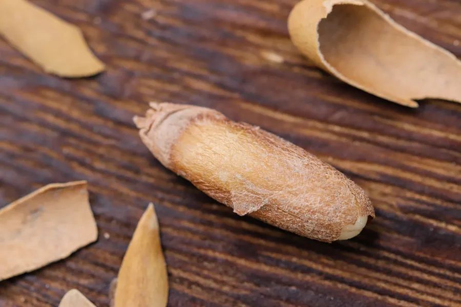 逛山姆一定要买会员卡吗,山姆会员店副卡值得买吗