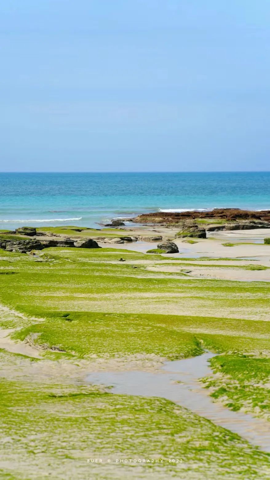 这座岛究竟有何神奇之处,怎么玩海陵岛不踩坑