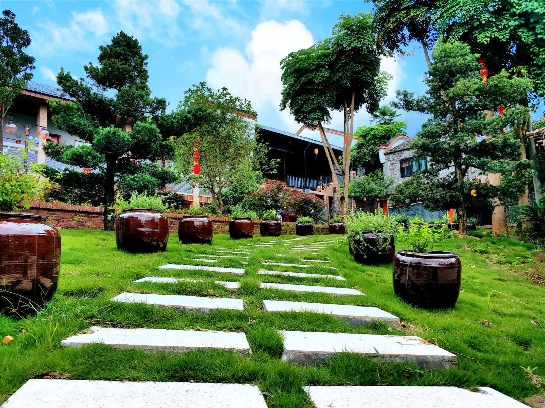 letsgo一周目图文攻略,letsgo图鉴攻略