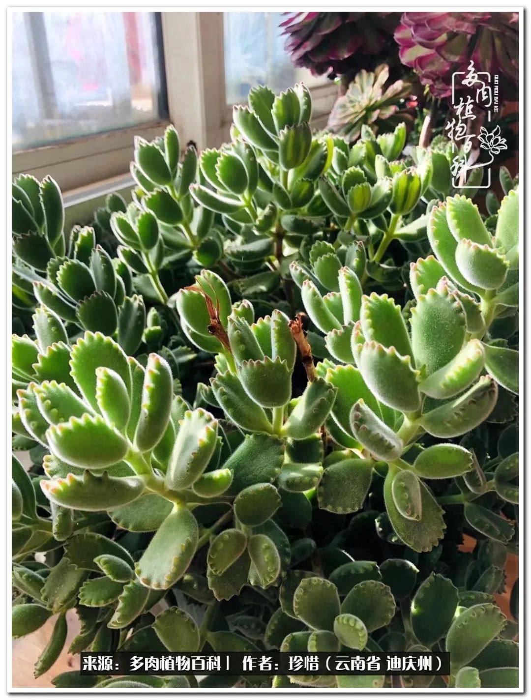 给生命一份淡然还岁月一份从容,给生命留一份洒脱的话