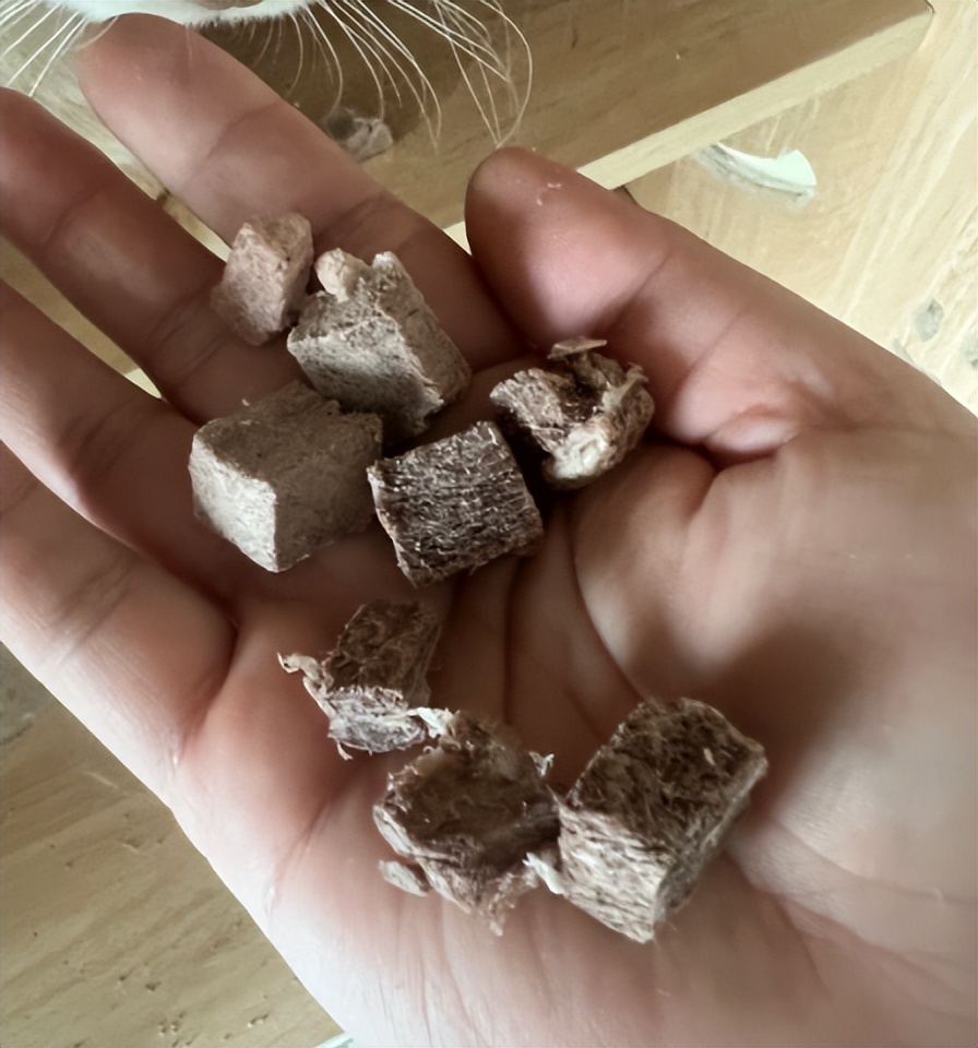 猫21测评:Hunter猎然系列冻干牛肉挑食猫咪愿意吃吗?