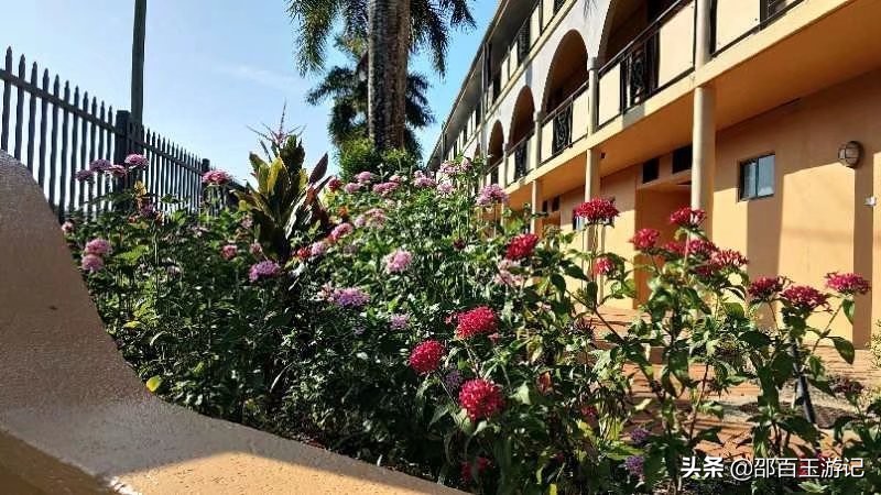 澳大利亚凯恩斯8日游,澳大利亚凯恩斯旅游攻略