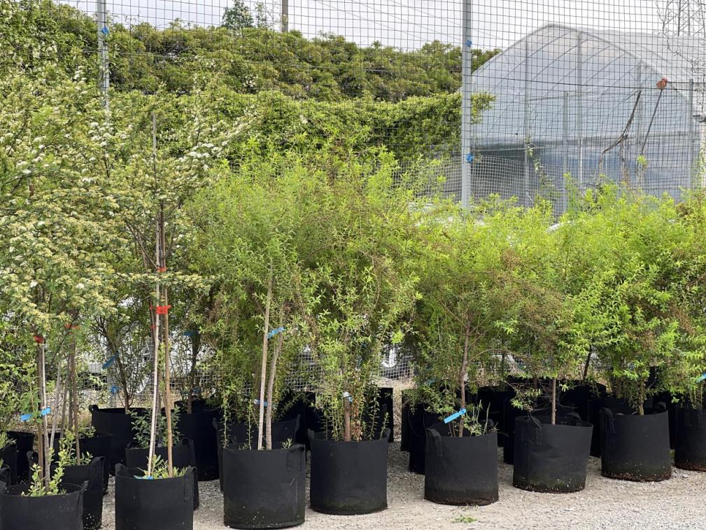 农产品网络电商怎么销售,园艺电商怎么做好销售的