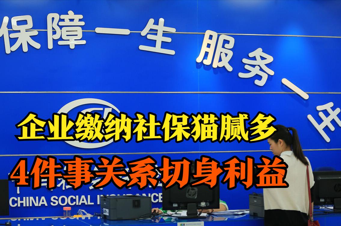 在单位交社保和灵活就业交一样吗,在单位交社保和自己交社保的区别