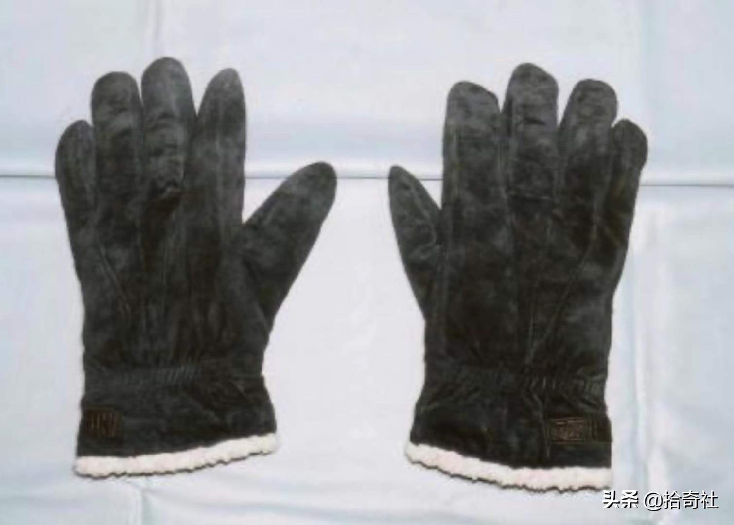 日本东京世田谷灭门案,日本东京世田谷灭门案最新消息