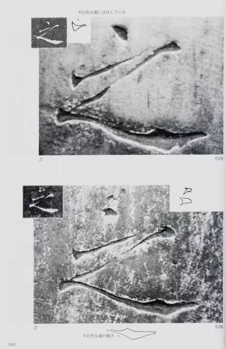 宸ョ瑪鐢绘潹鏅箟鐢诲唽,鏉滈箖鏉ㄦ櫘涔夊畬鏁寸増