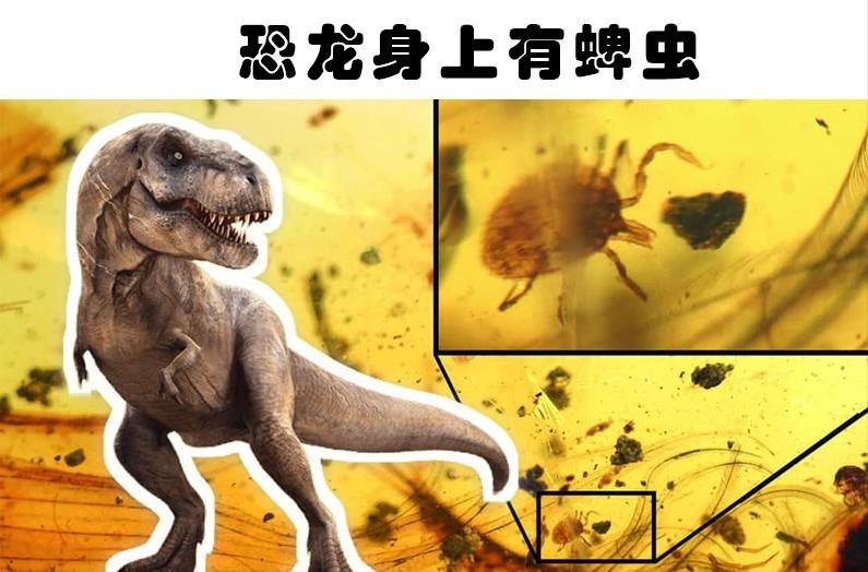 五种比霸王龙还厉害的恐龙,十种可以秒杀霸王龙的恐龙