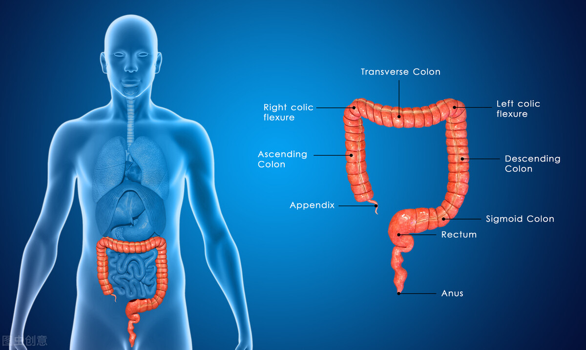 肛门坠胀治愈亲身经历,肛门坠痛要警惕三种疾病
