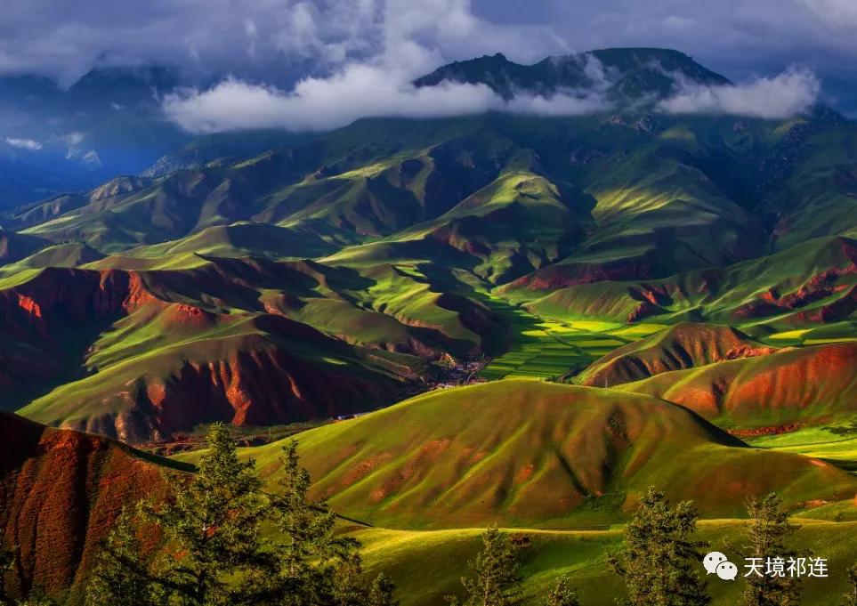 青海祁连山哪个位置最好,祁连山为什么一面森林一面草原