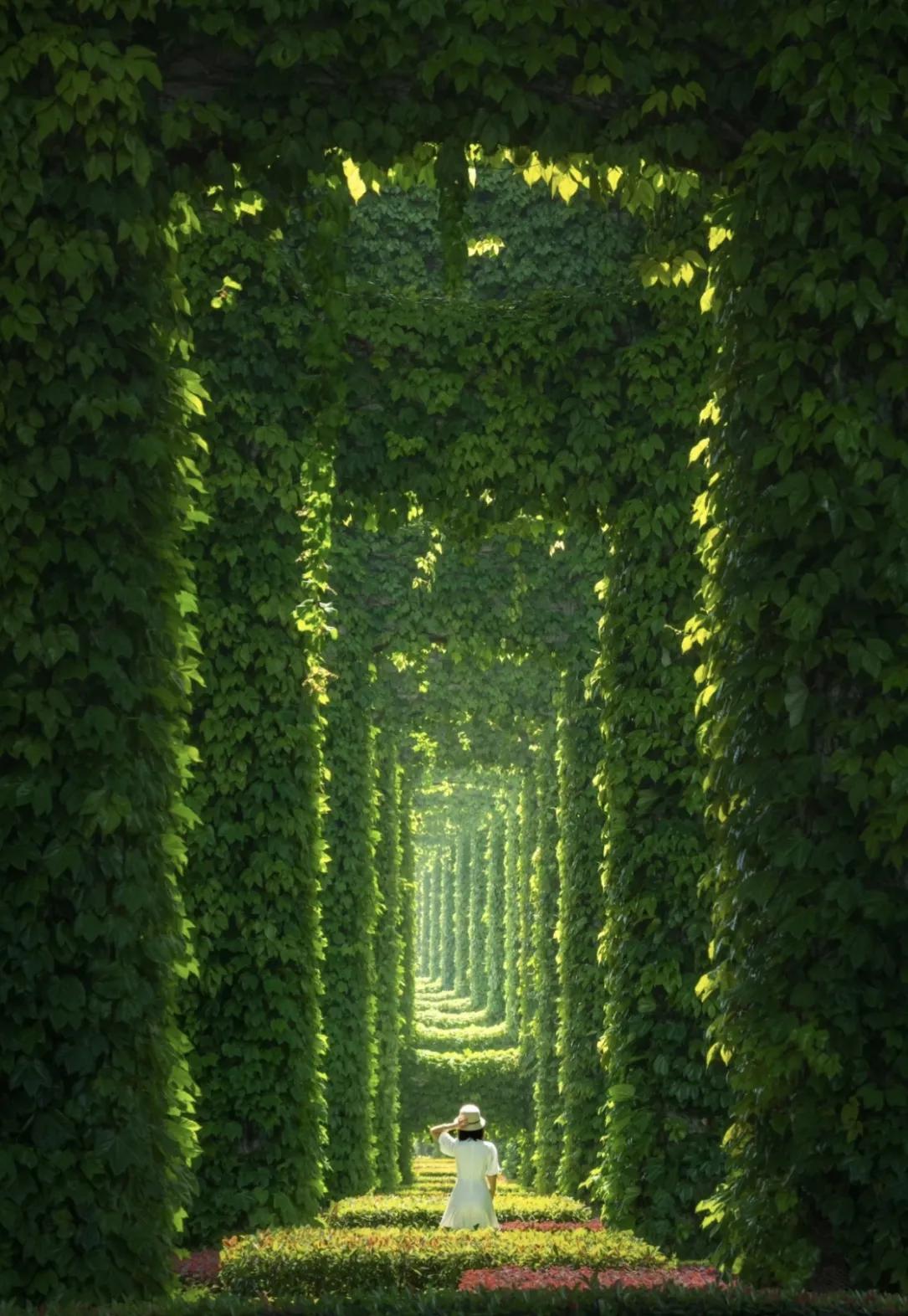 四川只有成都发展好吗,成都是不是唯一一座内陆城市