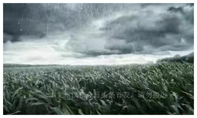 一男子实名举报气象局局长，长期玩弄少妇，聊天记录被曝