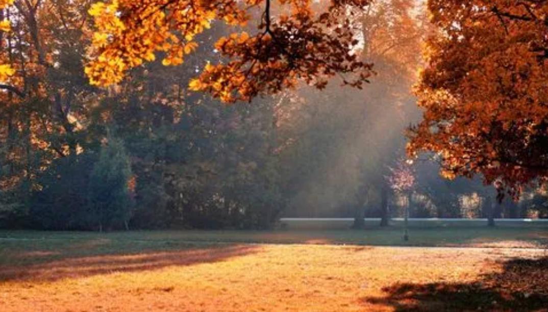 张爱玲经典语录见色起意,张爱玲论女人语录