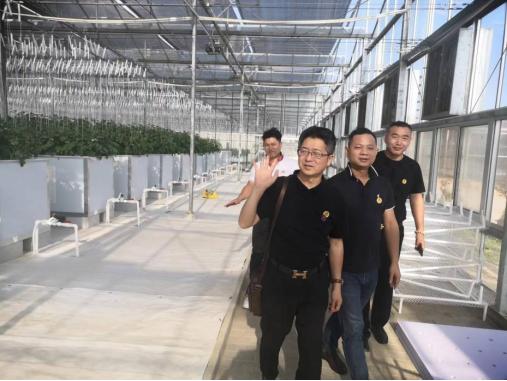 博士茶馆纯中式茶,深圳博士茶馆