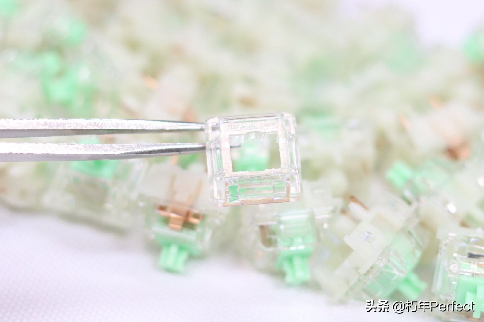 佳达隆小袋鼠轴测评,佳达隆小袋鼠轴3.0