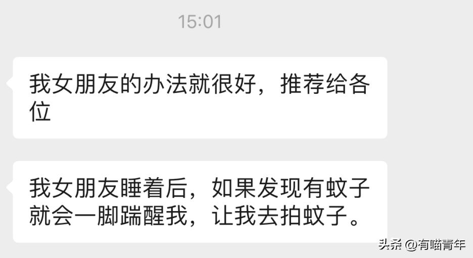 养猫有什么办法驱蚊子,养猫不可以用蚊香怎么驱蚊