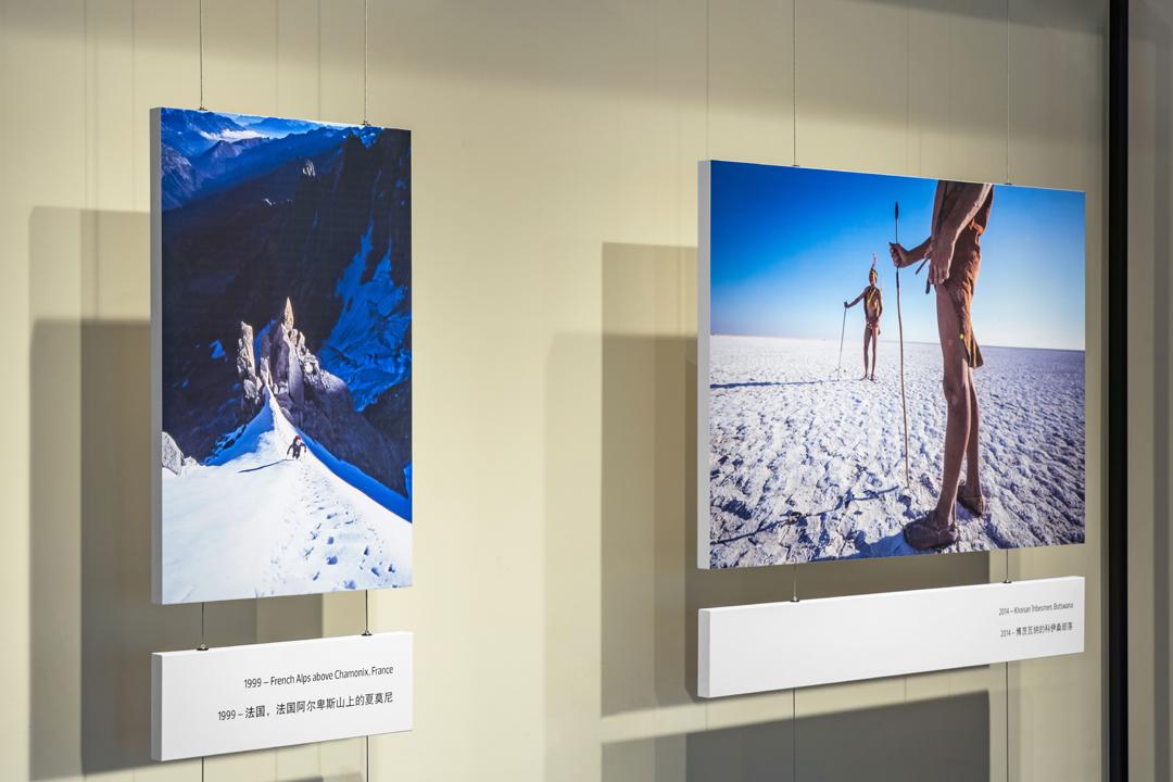 张园入春，纵横四海┃读者活动招募