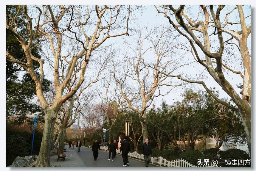 上海长风海洋公园和自然博物馆,上海长风公园占地面积