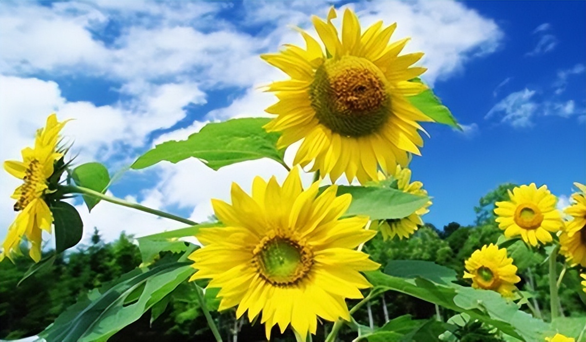 女人月经刚走别急着干这5件事,女人月经刚走不要做这5件事