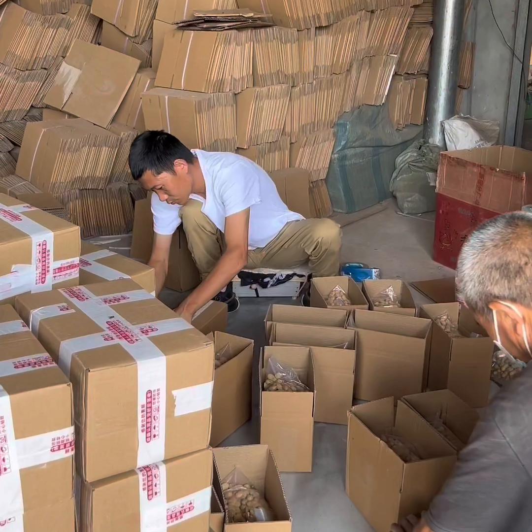 不知不觉已经打工了20年,农村创业的现状与未来