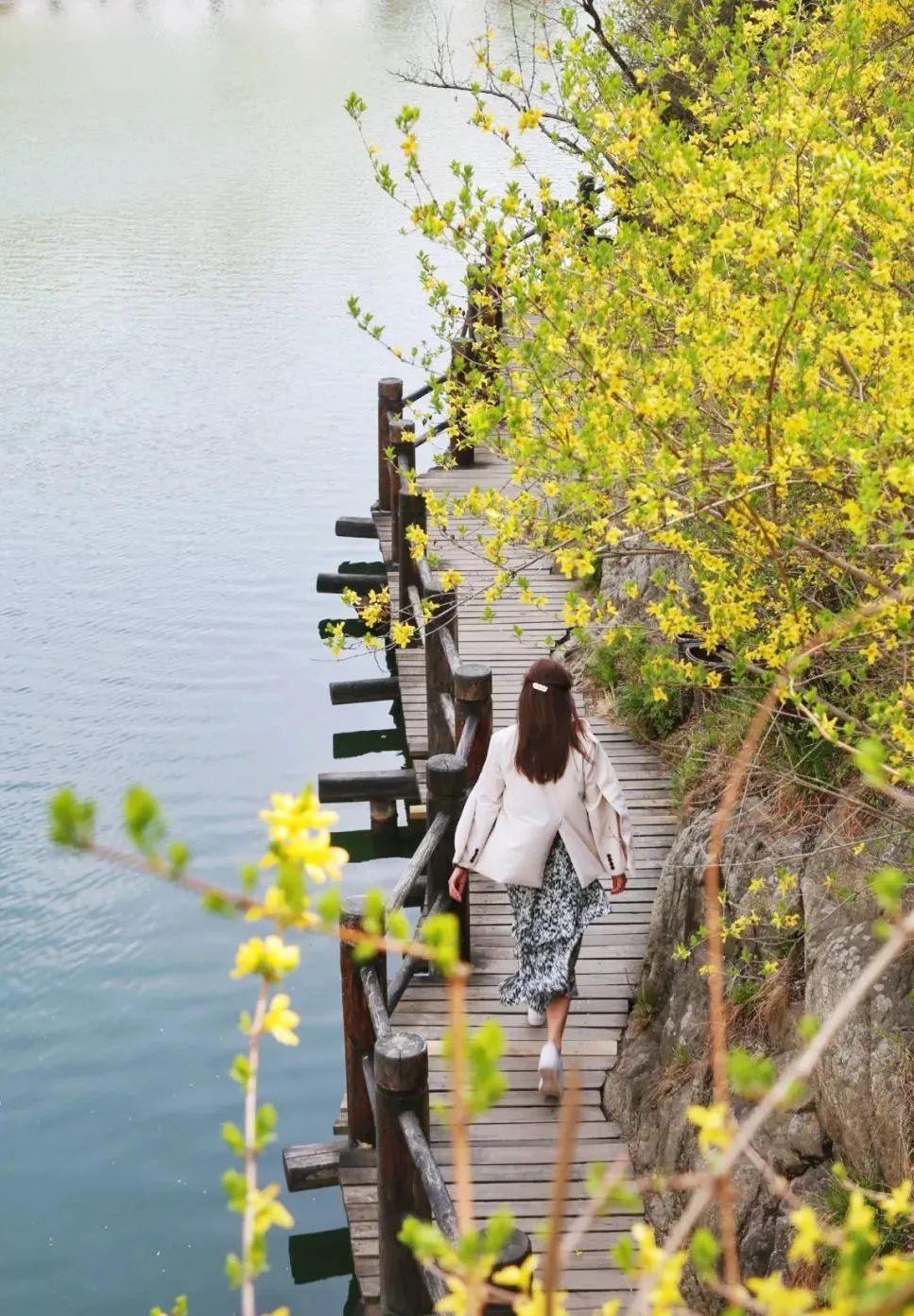 济南近郊旅游专线,济南开通的几条旅游线公交不错