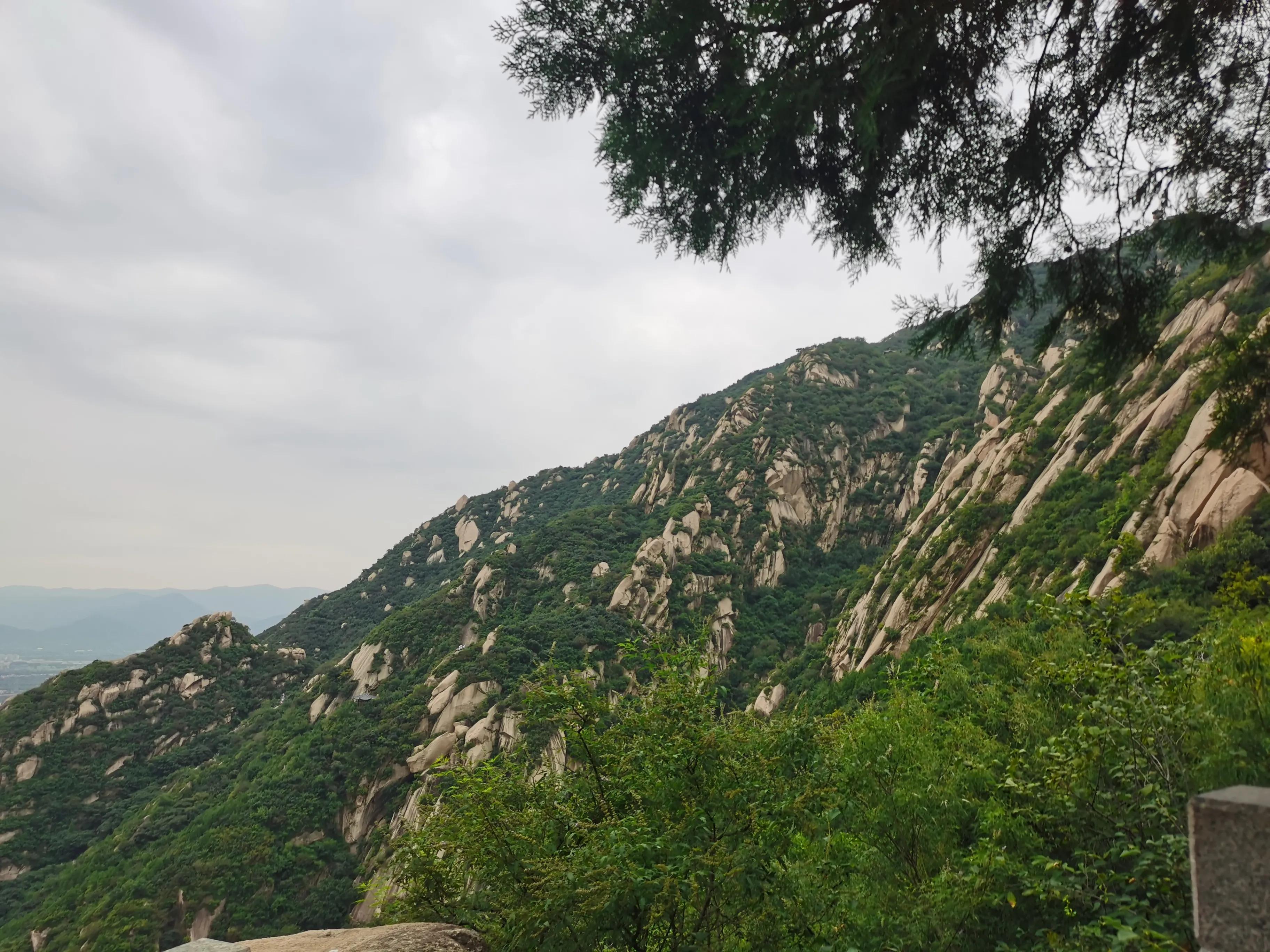 周末爬山记作文,周末爬山记完整版