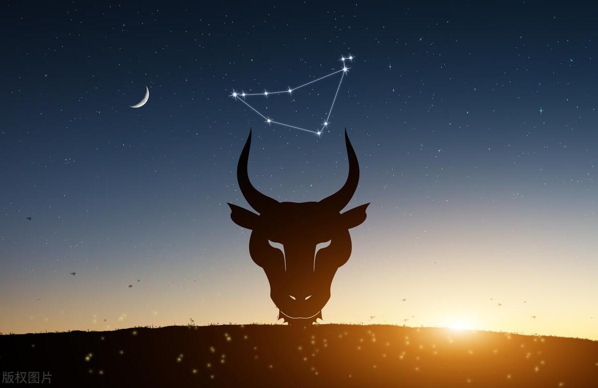 十二星座最适合做什么工作,十二星座最适合干什么工作