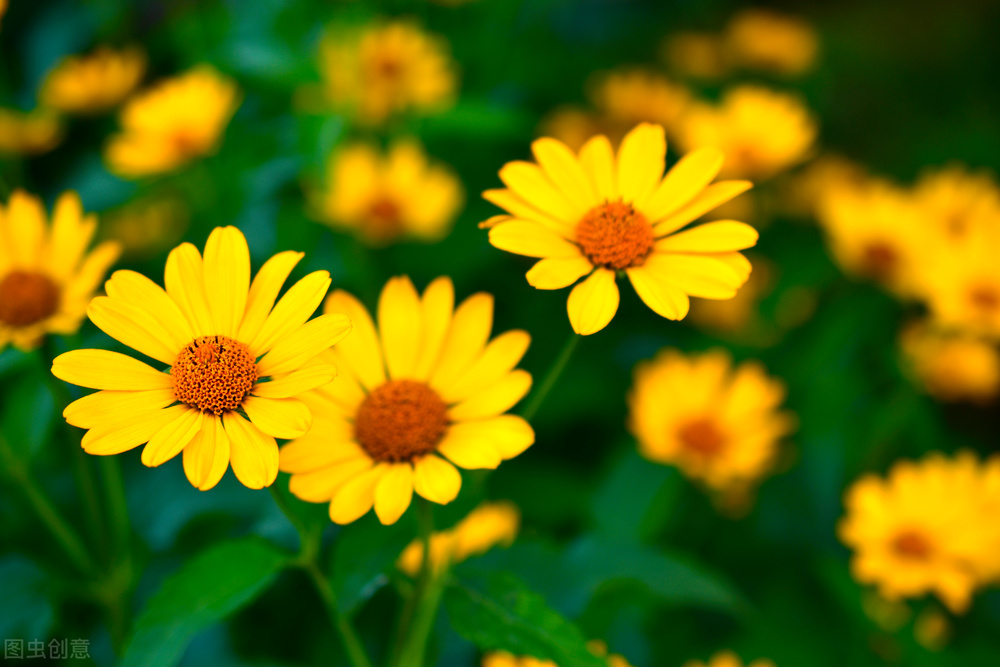 郭进栓汝州,郭进栓