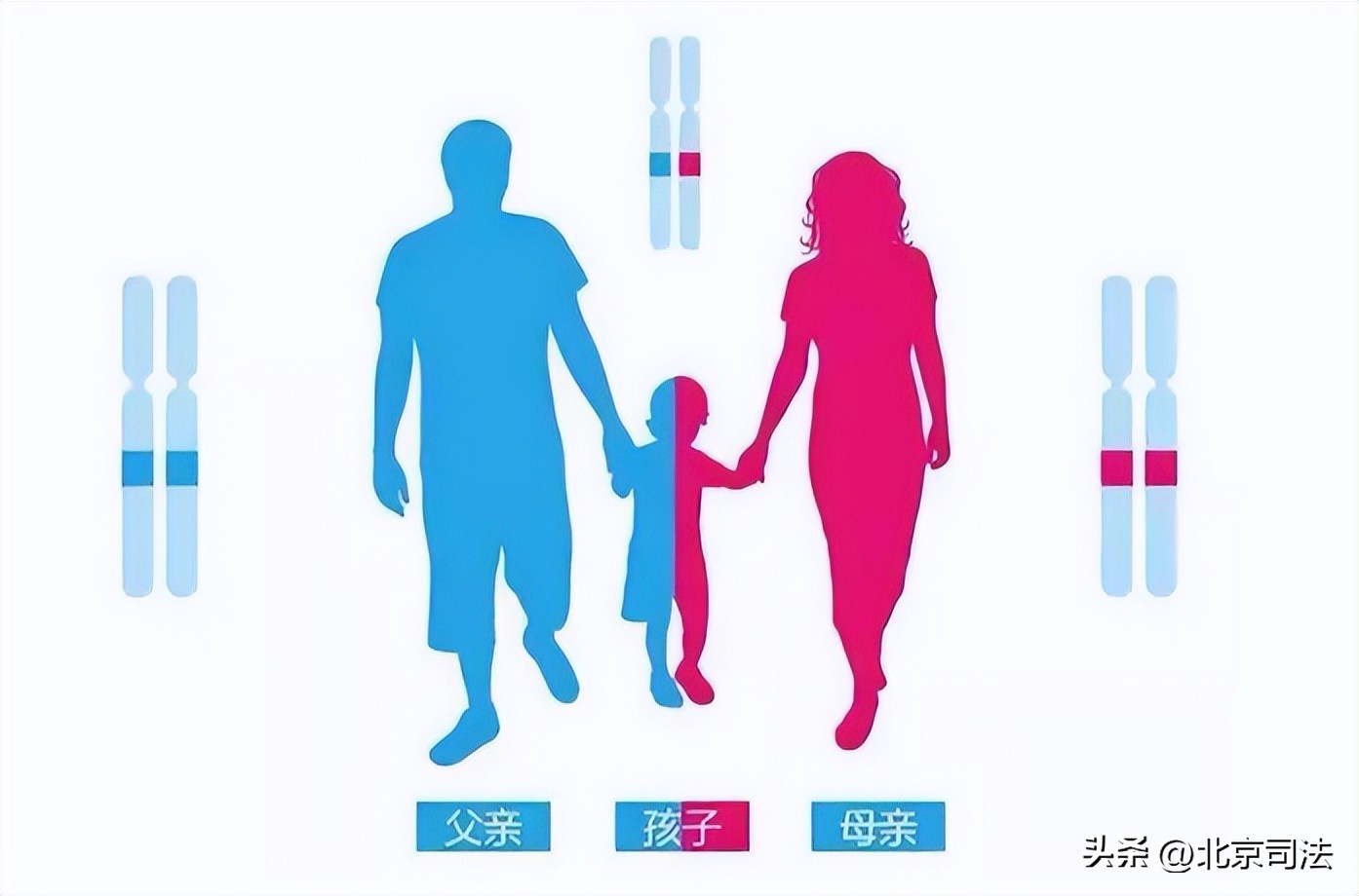 司法鉴定亲子鉴定流程,司法亲子鉴定怎么做