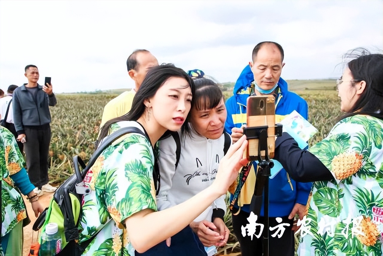 广东农博会逛展全攻略,广东农博会现场直播