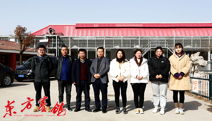 为赛鸽早生华发写春秋——江苏爱翔公棚董事长李伦十一载心系赛鸽情