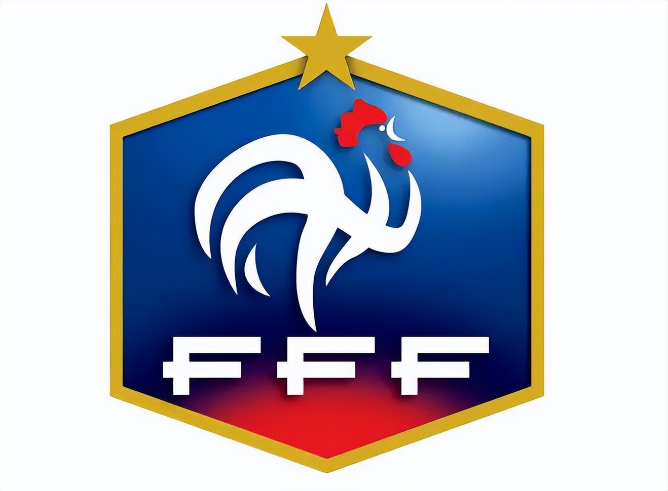 法国世界杯足球的特点,为什么法国足球这么厉害