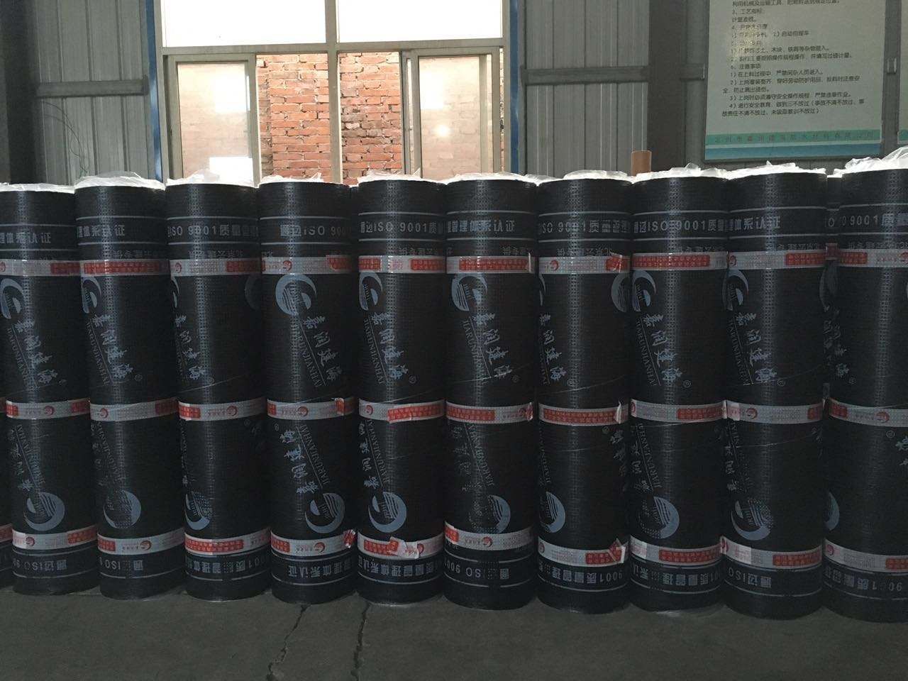 建筑专业防水堵漏修缮技术,混凝土屋面防水堵漏施工方案