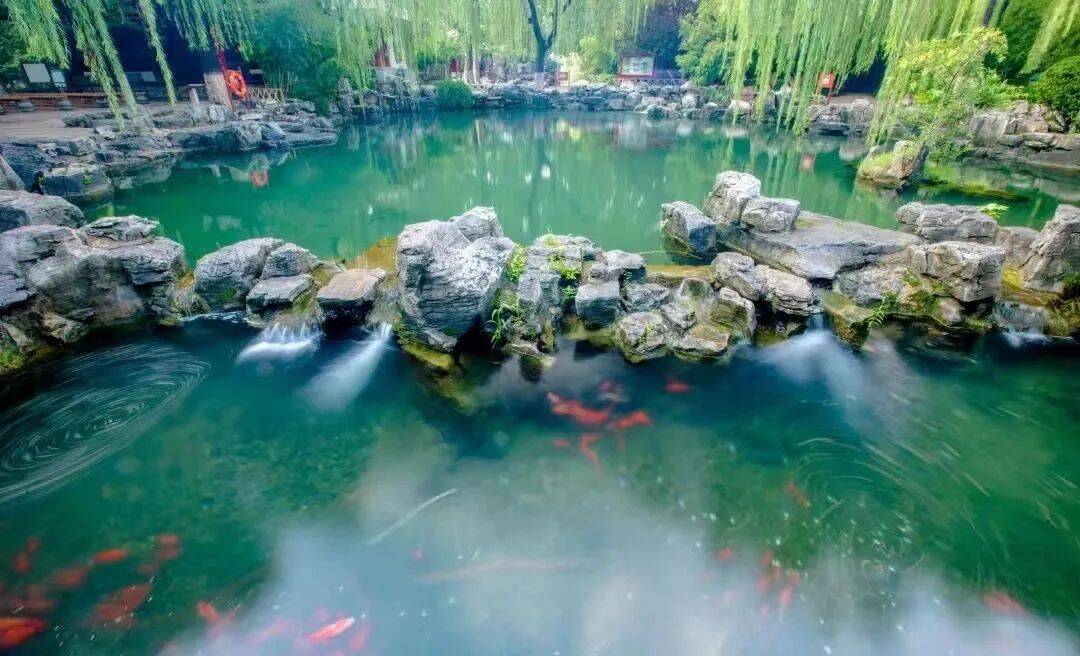 美德少年游历下|山东师大附小二（8）中队红领巾寻访