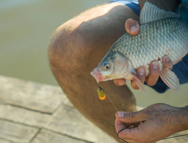 详解绑钩诀窍,绑钩技巧及详细教程