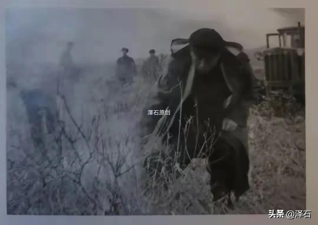 虎林市发展怎么样,虎林有什么发展趋势