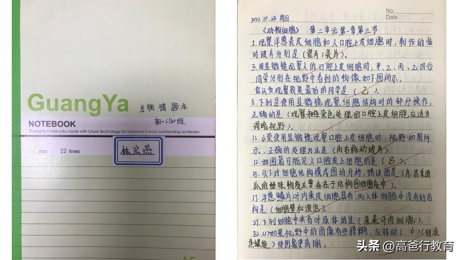 对于孩子的教育家长的反思,重视孩子注意力的培养家长反思