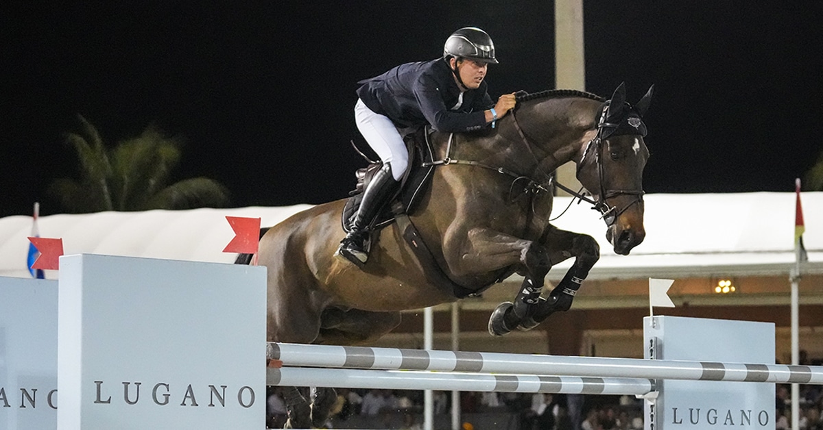 「马闻天下」荷兰马术大师赛回归；FEI支持乌克兰以及其马匹事宜