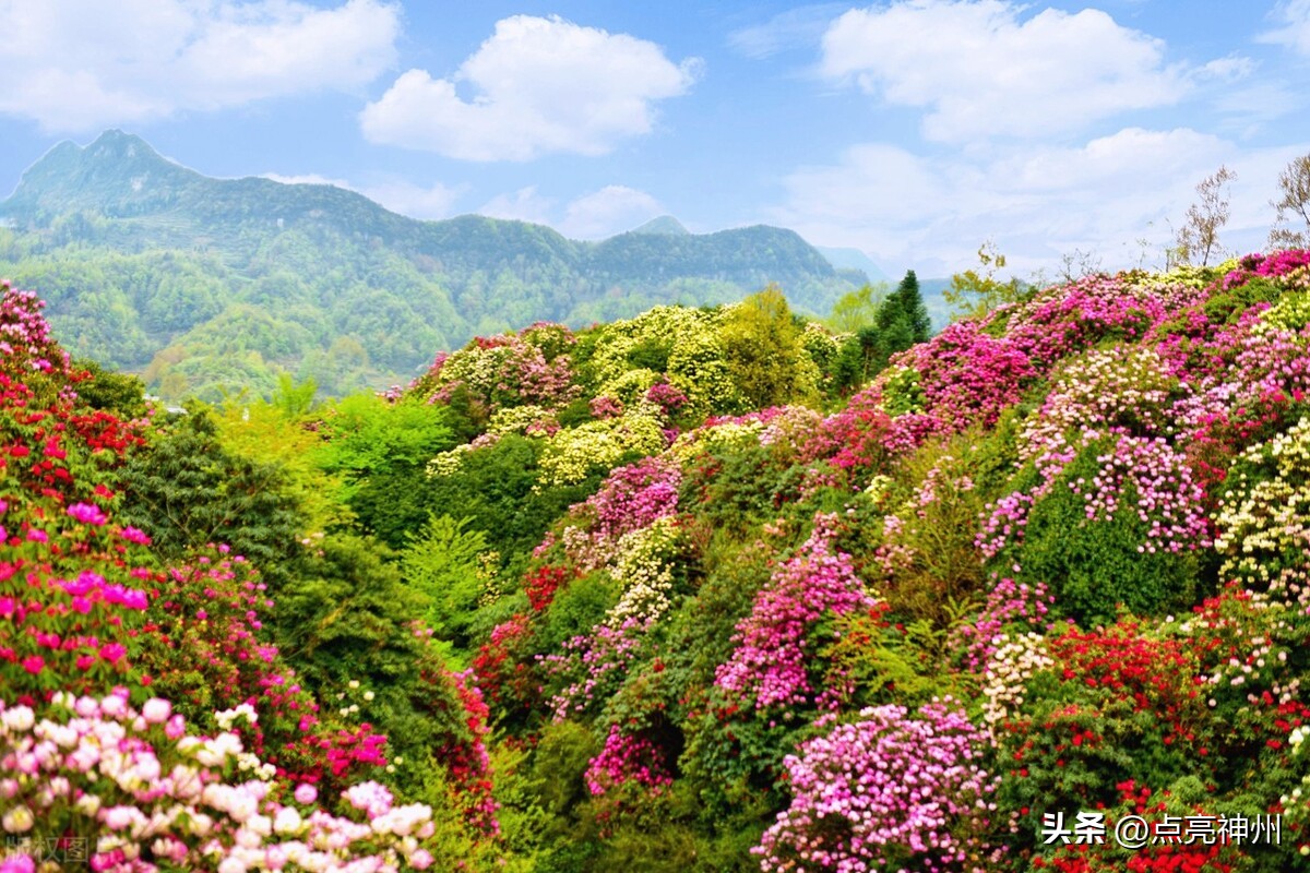 贵州都有哪些aaaaa旅游景点,贵州5a级景区旅游攻略