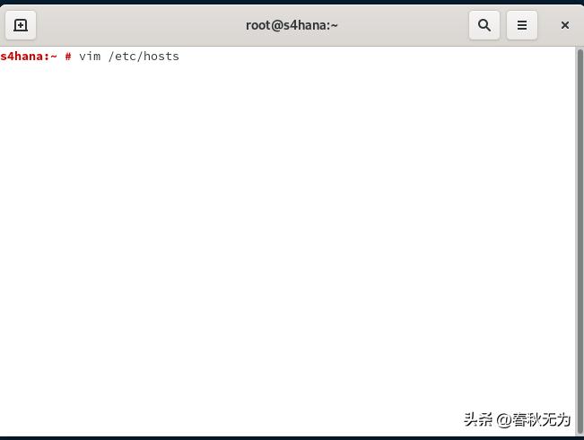 SAPS4导入模板需要什么格式,saps4使用