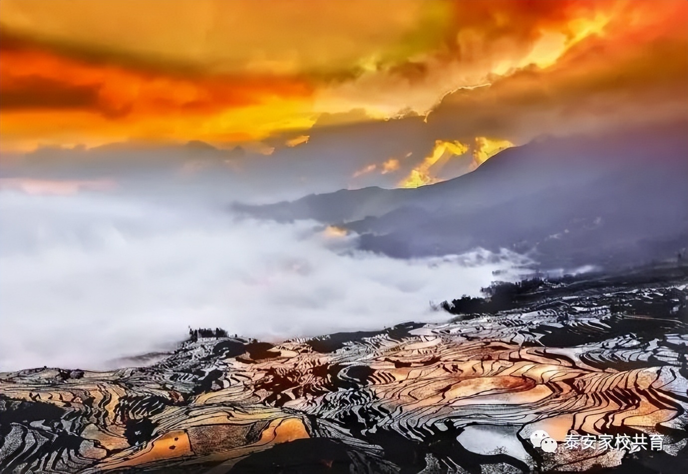 怎样才能学好语文日记,怎样才能学好语文作文
