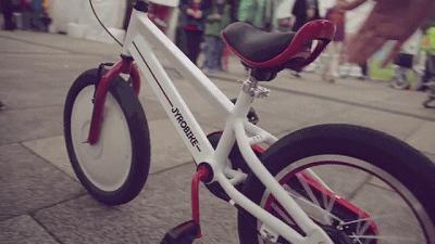 自行车不倒的科学原理未解之谜,自行车世界未解之谜