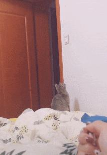 每日一笑游泳教学视频,每日一笑钓鱼片段